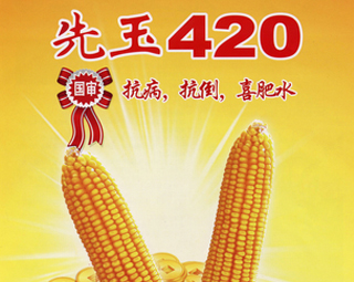 ����420