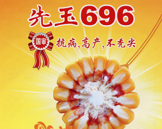 ����696