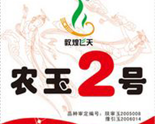 ũ��2��