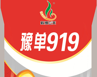 ԥ��919